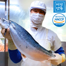 [미각만족] HACCP 얼리지않은 노르웨이 생연어 연어회 필렛 (몸+뱃살) 2kg 1kg 500g 300g, 02.생연어 필렛 1kg(혈합육제거)