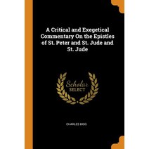 (영문도서) A Critical and Exegetical Commentary On the Epistles of St. Peter and St. Jude and St. Jude Paperback, Franklin Classics, English, 9780342254743