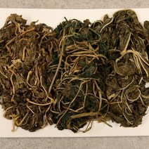 이천 자연산 나물세트 취나물 피마자 다래순 나물(세트주문시 무청 증정), 취나물1kg