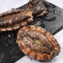 산지직송 거제도 해녀 특대 명품 자연산 전복 1kg(9~10미), 단품없음
