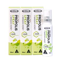 마더네스트 프로폴리스 마누카꿀 스프레이 30ml x 3병 MN90, 1개