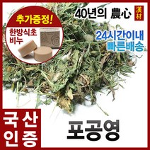 자애인 국산 포공영 600g 민들레 건조 충북제천, 단품, 1개