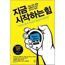 지금 시작하는 힘:오늘 당장 꿈을 실행하게 하는 30가지 동력, 라온북, 심상범