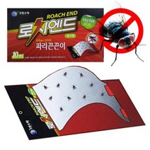 로치엔드 벽걸이형 파리끈끈이 10개, 상품선택다다몰