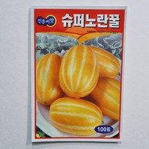 슈퍼노란꿀 참외 씨앗 100립 달고 아삭아삭한 맛있는 품종 진흥종묘