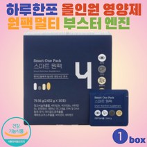 하루한포 올인원 영양제 멀티 종합 비타민 한팩 영양제 직장인 남성 여성 종합 영양제, 1박스 1개월