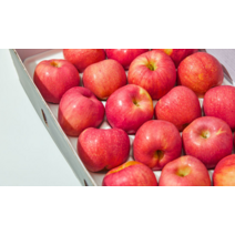 경북 홍로 아리수사과 4kg 시나노스위트 사과 산지직송 햇사과, 중대과16과 내외