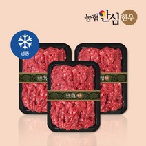 [농협안심한우] 1+등급 한우 다짐육 300g / 600g / 900g, 900g(300gX3팩)