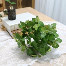 바보사랑 지피식물 그린테리어 가드닝 고급조화 메이플 부쉬.조아트