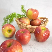 [더조은] 아리수 사과 가정용 3kg 10-13과, 단품