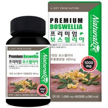 부모님 보스웰릭산 테르페노이드 식물성 보스엘리아 50대후반 성인남녀 남자 20대 60대 회사원 노년