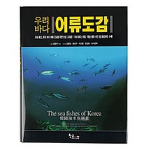 [예조원] 우리바다 어류도감, 단품
