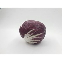 [특급] 라디치오 1통