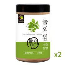 돌외잎 추출분말 가루 100% 돌외잎차 엑티포닌 AMPK, 2통, 300g