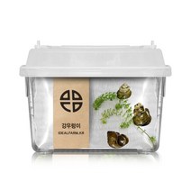 자연학습 강우렁이 관찰 과학 탐구 수서 곤충 물속생물 물장군 연못 초등수업 체험, 단품
