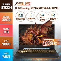 ASUS TUF Gaming F17 FX707ZM-HX037 최신 인텔 12세대 i7 RTX3060 17인치 고사양 고성능 배그 노트북, 메카 그레이, FX707ZM, 코어i7, 1TB, 32GB, WIN11 Pro