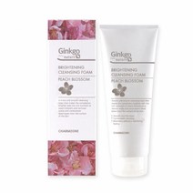 참존 징코 프롬네이처 브라이트 클렌징폼, 단품, 단품