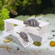 터틀 하우스 거북이집 일광욕 쉼터 테라스 거북이 집꾸미기 용품 가정용 수족관 어항 사육장 늑대거북 이층집 은신처 애완 육지거북이 키우기 수조 테라리움