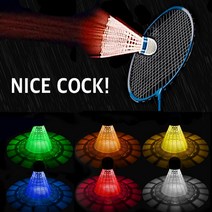[kbb4000] 아싸라봉 나이스콕 LED 야광 불빛 나이트 셔틀콕 배드민턴 공 6가지 라이트볼, 혼합색상, 6개입