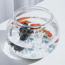 플라스틱 둥근 어항 원형 12.5X10cm 구피 베타 키우기 알비노폴레드 금붕어 미니 물멍