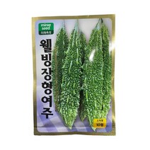 웰빙 장형여주 씨앗 10립 [22년포장] 장형 여주 종자
