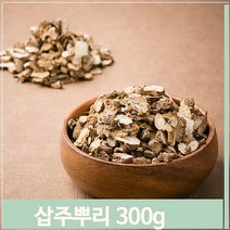 푸들 중국산 삽주뿌리 창출 편 약초 삽주차 창줄주 300g (7564414), 기본