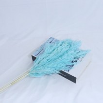 대형 화분 큰팜파스 잔디 말린 꽃 푹신한 자연 홈 보헤미안 장식 국가 웨딩, 07 G_02 10pcs