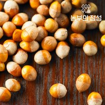 농부의정성 [농부의정성] 전북정읍 박경철님의 깐은행 1kg(대), 단품, 단품