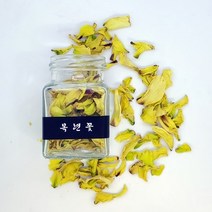 생산자직송 친환경 무농약 목련꽃차 신이화 신이차 목련잎차 10g, 상세페이지 참조2, 상세페이지 참조2, 친환경 무농약 목련꽃 꽃차 20g