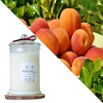 늘향 늘향 달콤한 순수 복숭아향 캔들 350ml 1+1 (2737219), 면심지 초록
