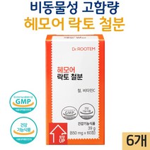 닥터루템 헤모어 락토 철분 임산부 비동물성 비헴철 철분제 사은품 증정, 6개, 60정