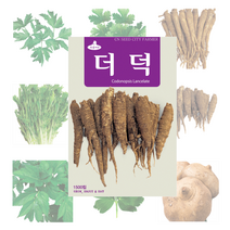 민속 씨앗 27종, 고수 300립