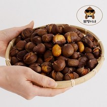 밤탱이네 프리미엄 약단밤500g- 칼집밤 군밤 알밤 황금밤 생밤 햇밤 에어프라이어밤, 1개