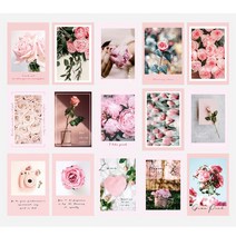 라라콩 장미 핑크 벽꾸 카드 15장세트 인테리어소품, 세트