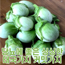 국산 국내산 커밋가지 동남아가지 태국가지 500g 베트남채소 동남아채소 아시안푸드 슈퍼푸드 몸에좋은 야채 채소 혈당 당뇨 영양 이색 특색 푸드 야채
