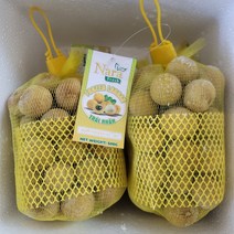 (2개 이상부터 구매) 베트남 냉동 용안 / Nhan Dong Lanh Viet Nam 500g, 5개