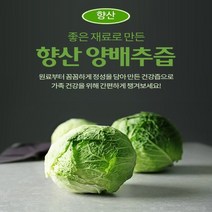 위에좋은차 국내산 양배추즙100포 위염증 (닭발우슬즙 배즙 호박즙 비트즙 포도즙 칡즙), 100포, 110ml