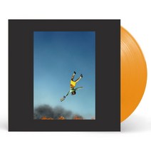 Yeah Yeahs(예 예 예스) - Cool It Down [옐로우 컬러 LP]