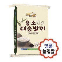 백미 쌀10kg 20kg 담양대전농협, 옵션2_22년 백미20kg[10kg포대 2개], 2개