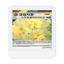 겹접시꽃 스프링셀러브리티즈 레몬 씨앗 10립 겹접시꽃 꽃씨 씨앗 대장