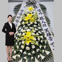 일산백장례서비스 조의화환 조화 고양시 일산서구 (대화동 인제대학교일산백병원) 꽃집