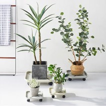 에코벨 이동식 물받이 사각 화분받침대 23cm/정리대 원예용품, 이동식 물받이 화분받침대 사각23cm