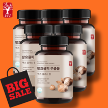 고말론 발효율피 추출물 맥스 플러스 정 1000mg x 60정, 6개 (12개월분)