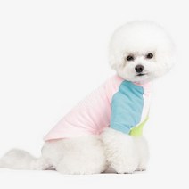 리얼펫 항균가공 소재 포레버 라운드 티셔츠.리얼펫, M|아쿠아