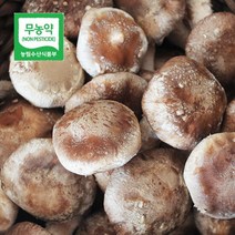 두메골농원 영양 무농약 버섯 착한 송이 500g 중품, 단품
