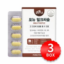 포뉴 밀크씨슬 1000mg x 60정 x 3박스, 단품, 단품