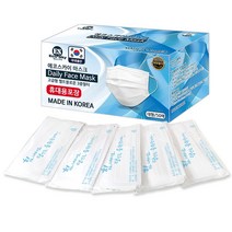 에코스카이 국내생산 고급형 멜트블로운필터 국내인증 일회용마스크, 50개, 1박스, 화이트