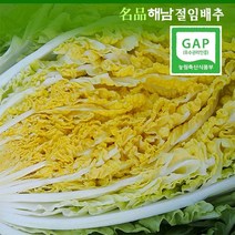 명품해남절임배추 20kg (당도가 높은 김장절임배추), 12월31일(토)도착