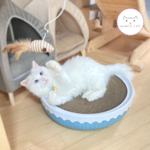 고양이 원형 스크래쳐 빅소파 골판지 벅벅 초대형 캣모나이트 냥모나이트 마약박스 종이방석, 블루 세트
