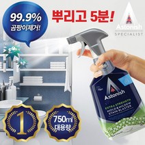 [아스토니쉬] 영국 국민세제 뿌리고 5분이면 끝 스프레이 곰팡이제거제 750ml, 1+1